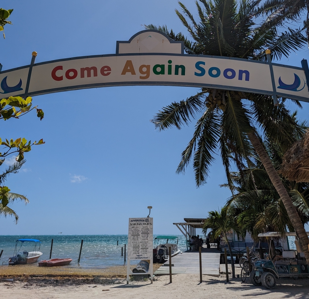 Come Again Soon